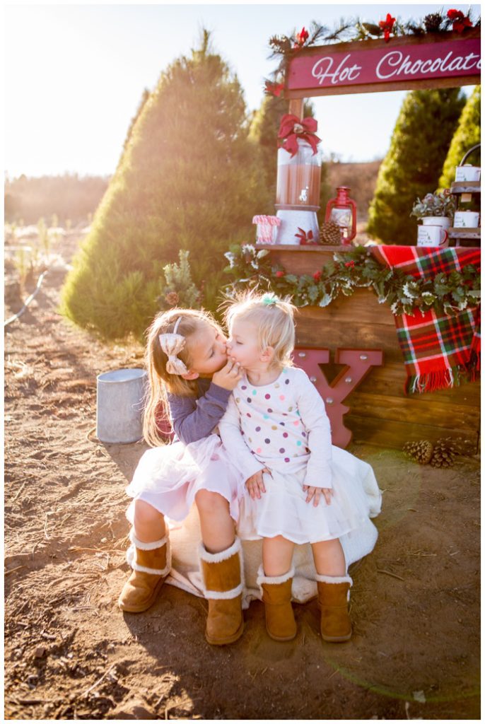 Wickerd Farm Christmas Mini Sessions | Photography by Aubrey Rae