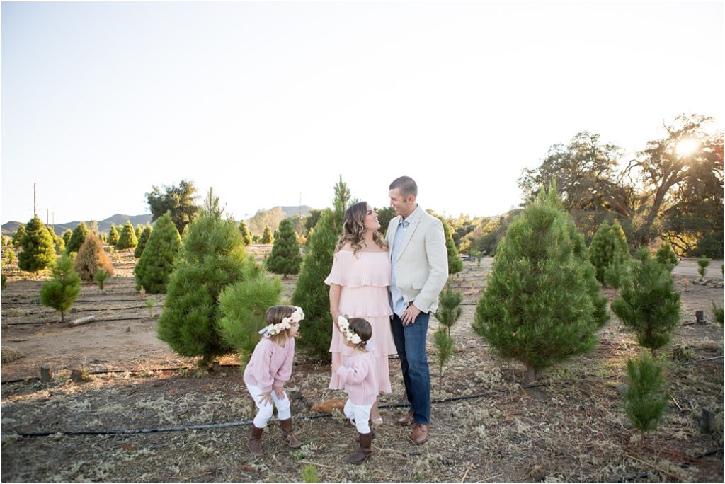 2019 Christmas collage family at christmas tree farm