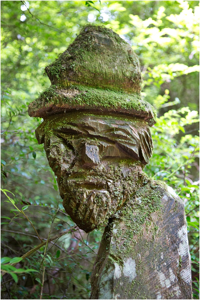 Wood Carving at Trees of Mystery Shasta County Ca | Aubrey Rae