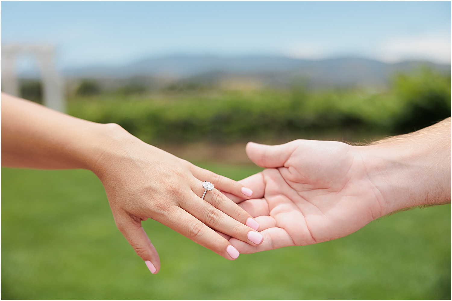 Surprise Proposal at Leoness Winery Temecula Ca