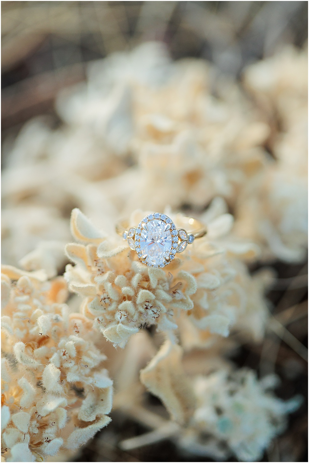 Sykes Park Engagement | Murrieta, CA | Photography by Aubrey Rae