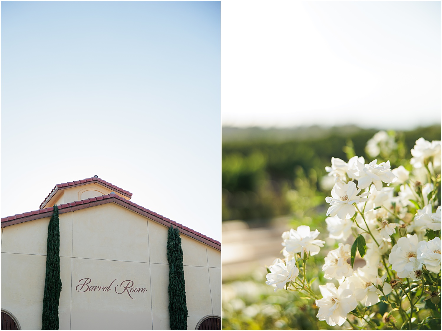 Danza Del Sol Wedding Venue | @aubreyraejones