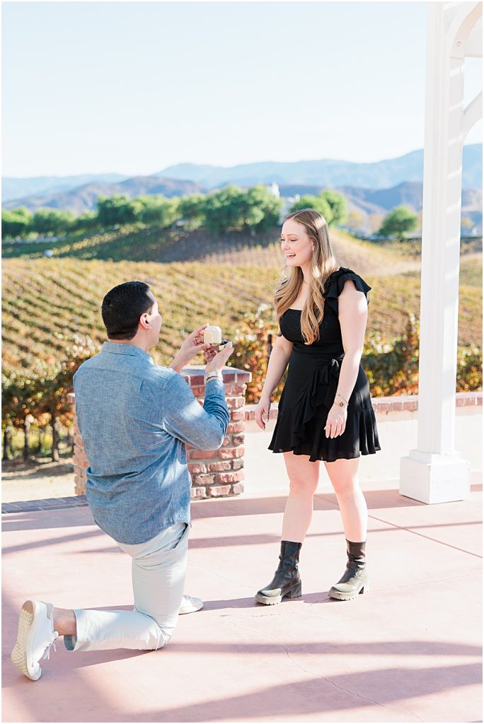 Fall Proposal At Leoness Winery | Temecula, CA | Photography by Aubrey Rae