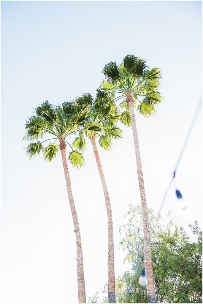 Hawks-Point-Redhawk-Gold-Course-Wedding-Venue-Temecula