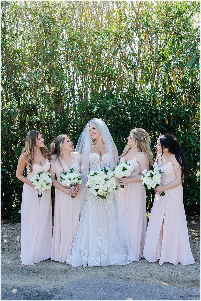 Mount-Palomar-Winery-Wedding-Southern-California