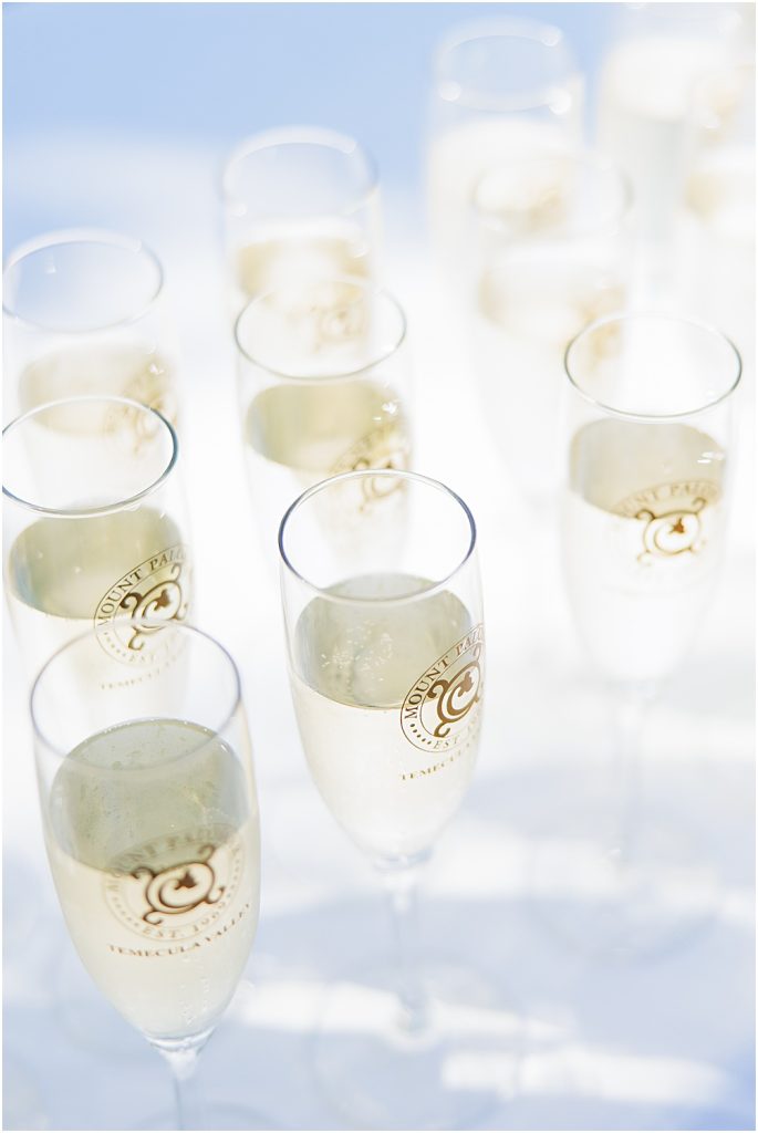 Mount-Palomar-Winery-Wedding-Southern-California