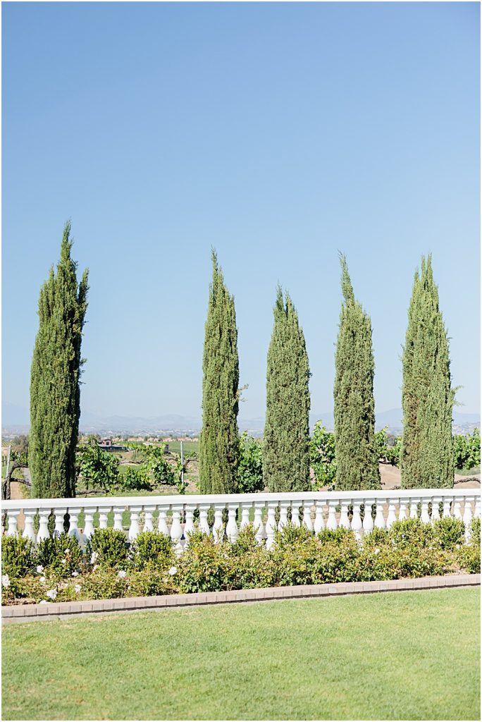 Mount-Palomar-Winery-Wedding-Southern-California