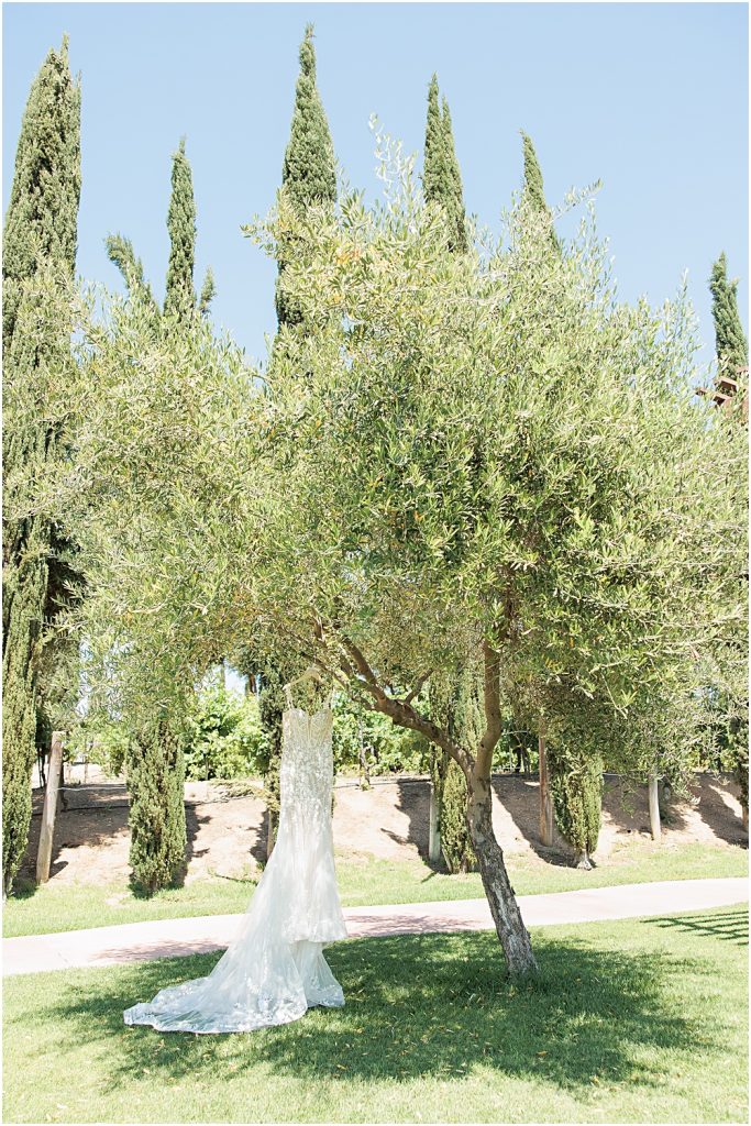Mount-Palomar-Winery-Wedding-Southern-California