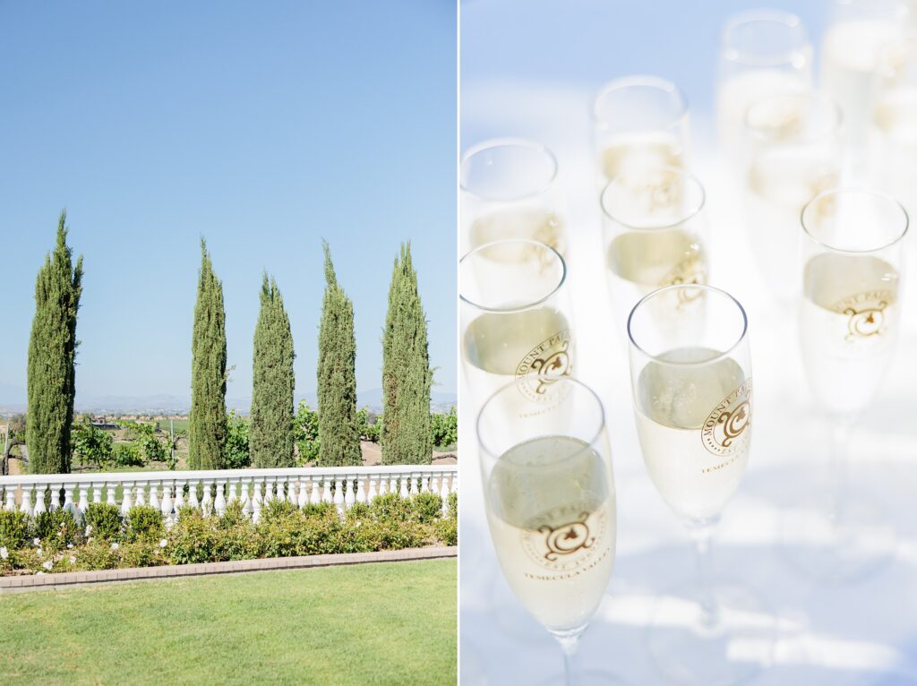 Mount Palomar wedding venue, champagne glasses,Southern California winery wedding photographer