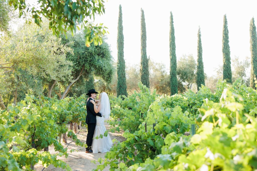 Southern California winery wedding photographer | bride and groom photos in vines