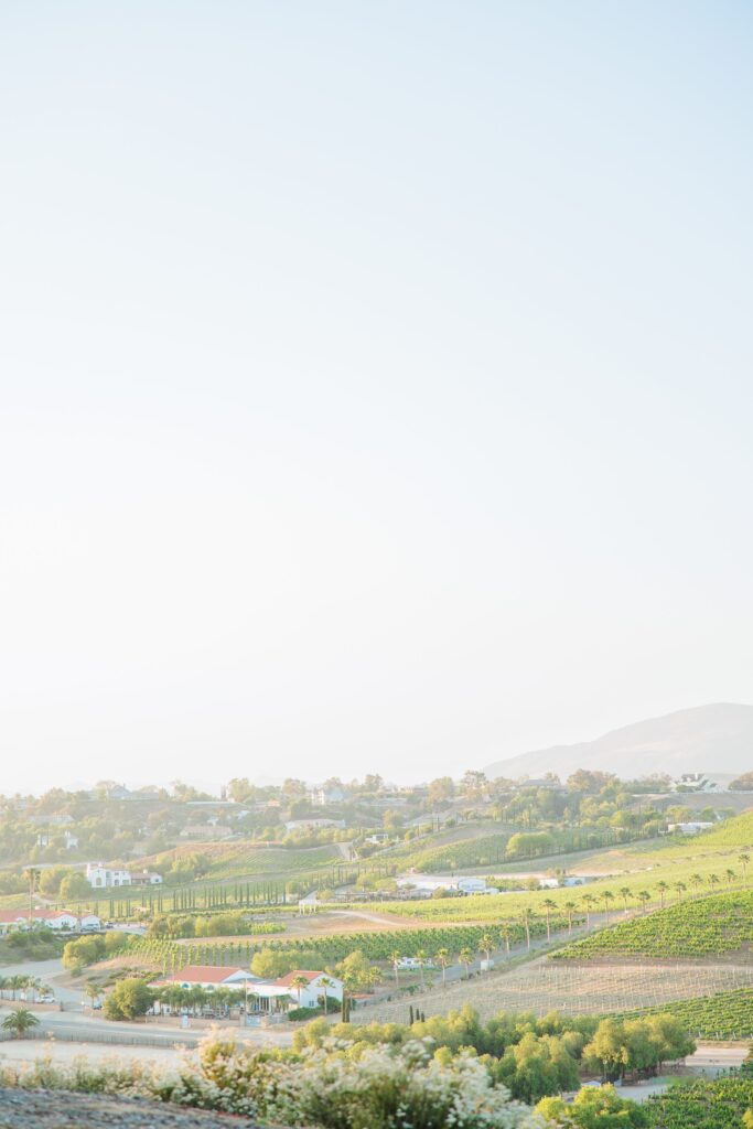 Southern California winery wedding photographer | golden hour landscape view