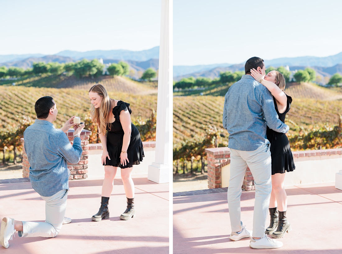 Temecula proposal photographer | Leoness Winery