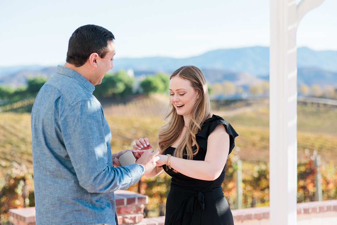 Temecula proposal photographer | Leoness Winery | surprise proposal