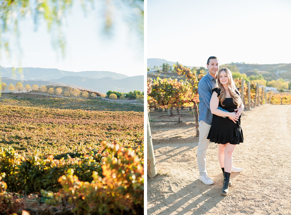 Temecula proposal photographer | Leoness Winery
